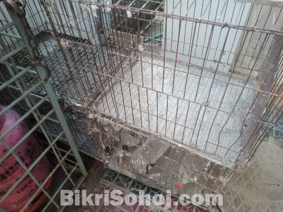 চার খো‌টের খাচা